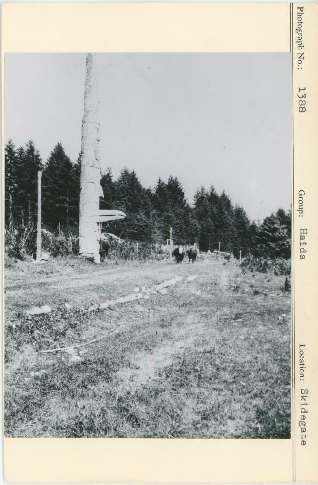 Image representing photograph.