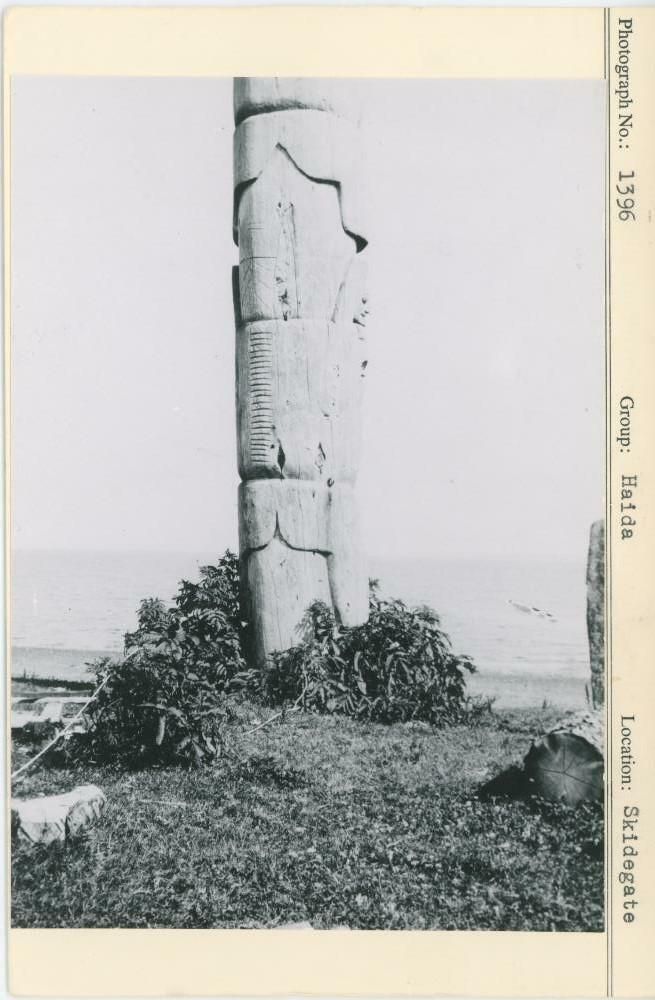 Image representing photograph.