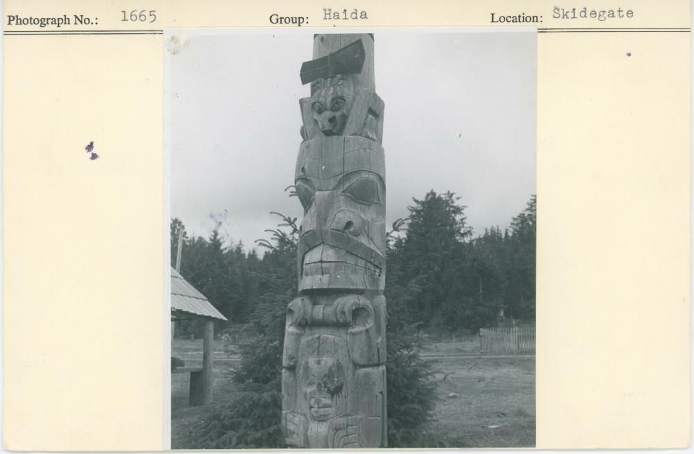 Image representing photograph.