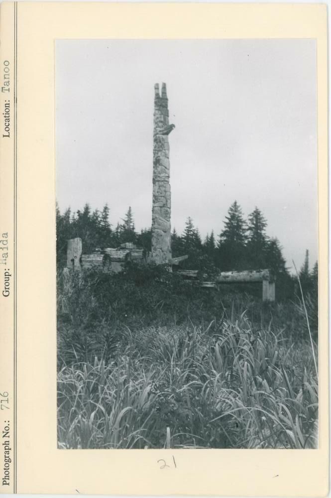 Image representing photograph.