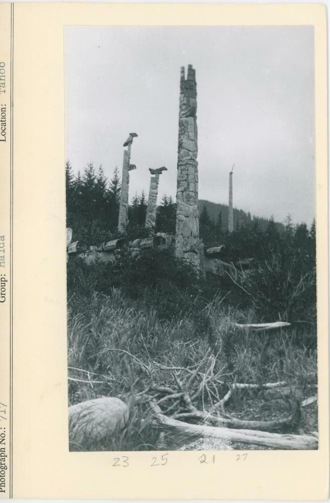 Image representing photograph.