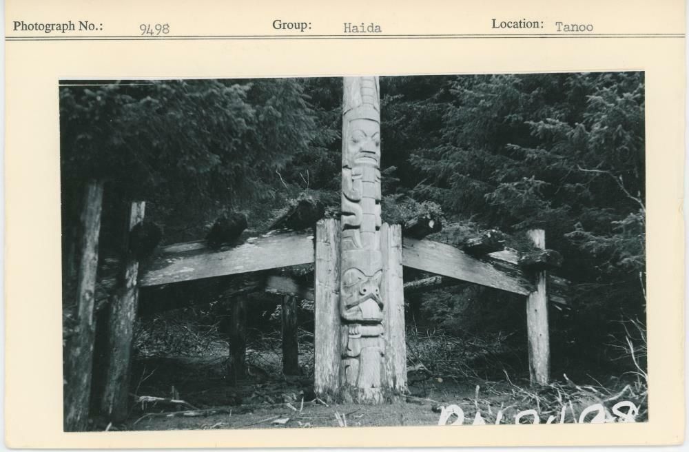 Image representing photograph.