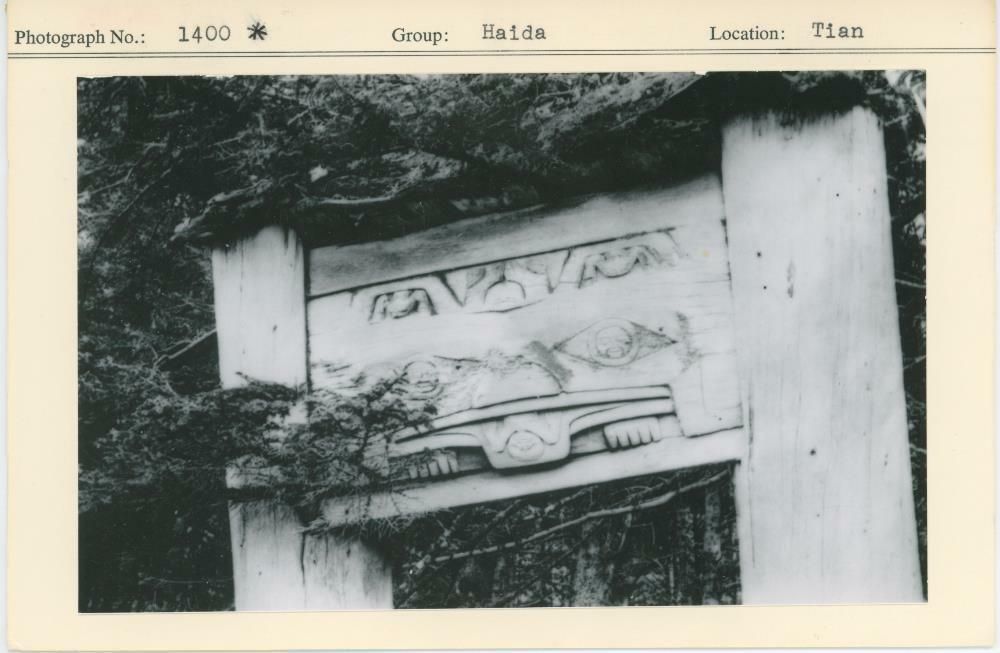 Image representing photograph.