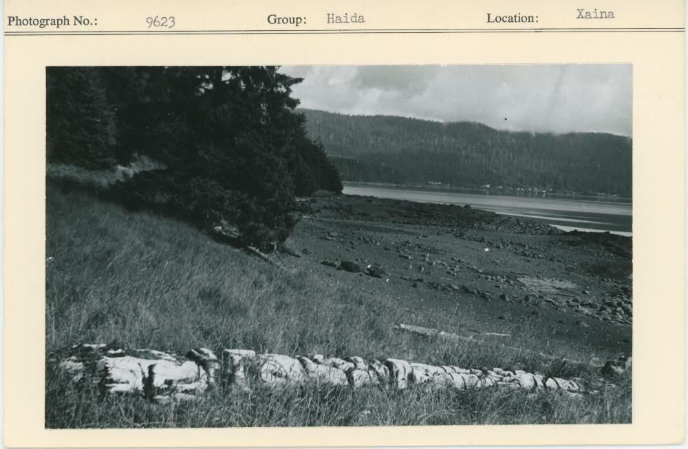 Image representing photograph.