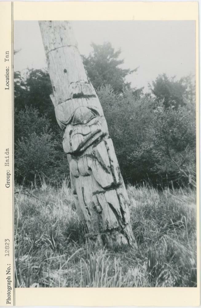 Image représentant photograph