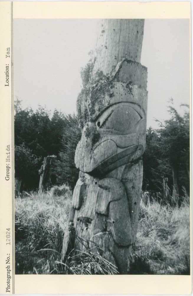 Image représentant photograph