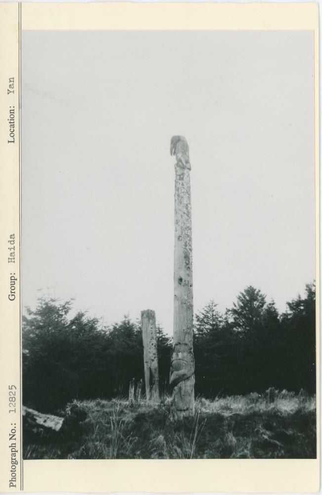 Image représentant photograph
