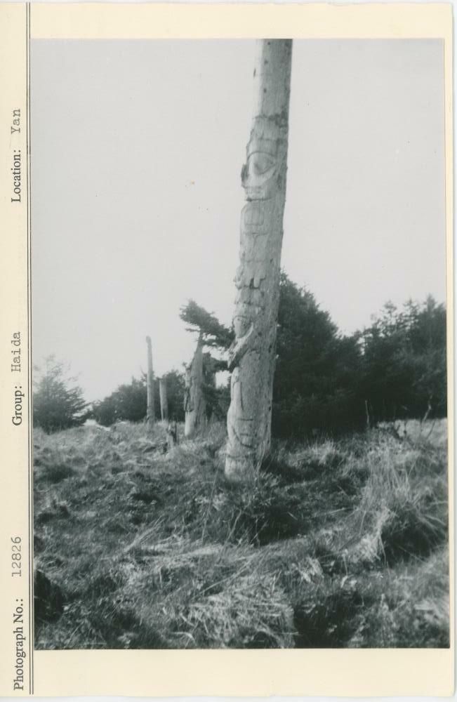 Image representing photograph.