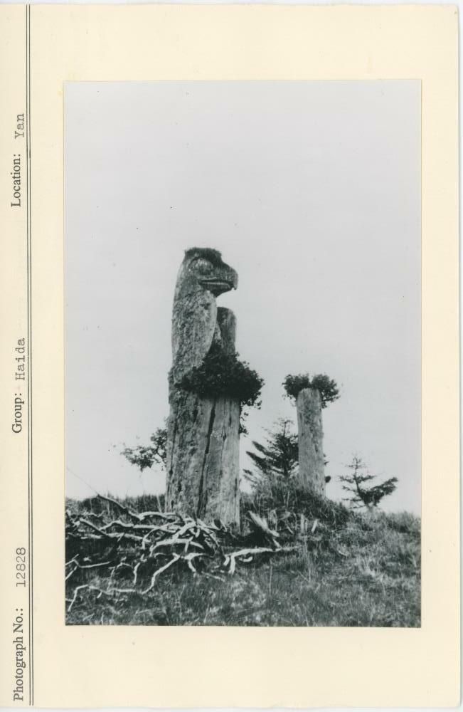 Image representing photograph.