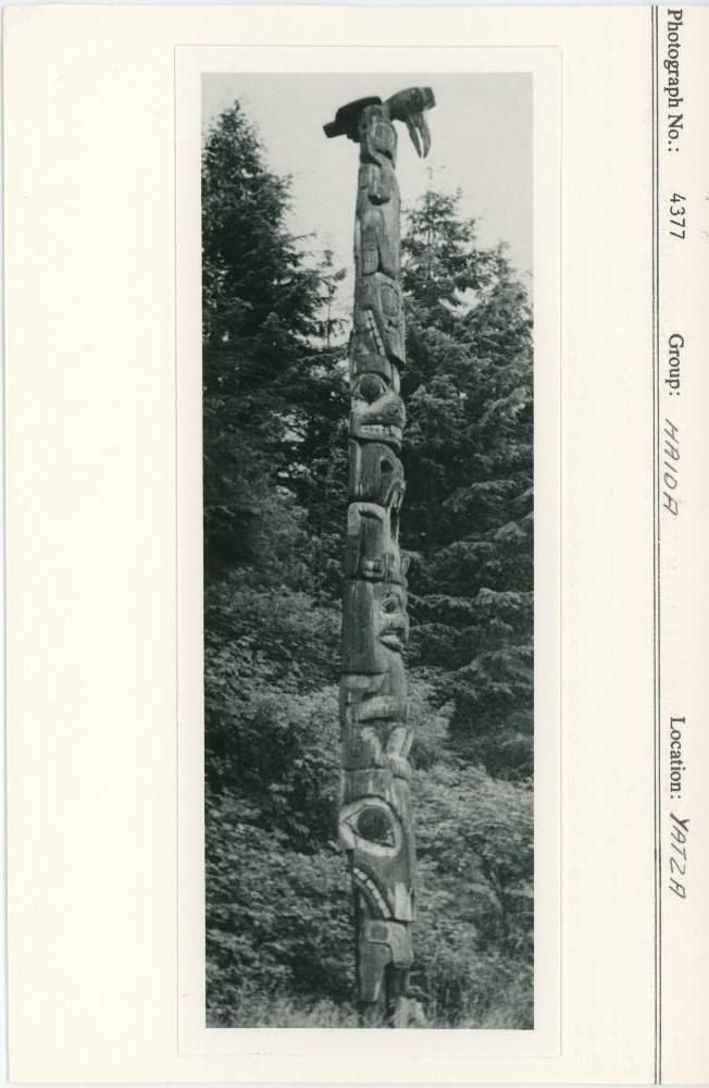 Image representing photograph.