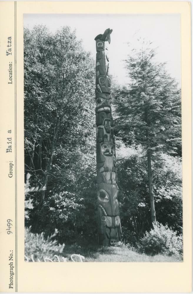 Image representing photograph.