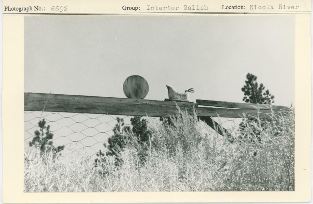 Image representing photograph.