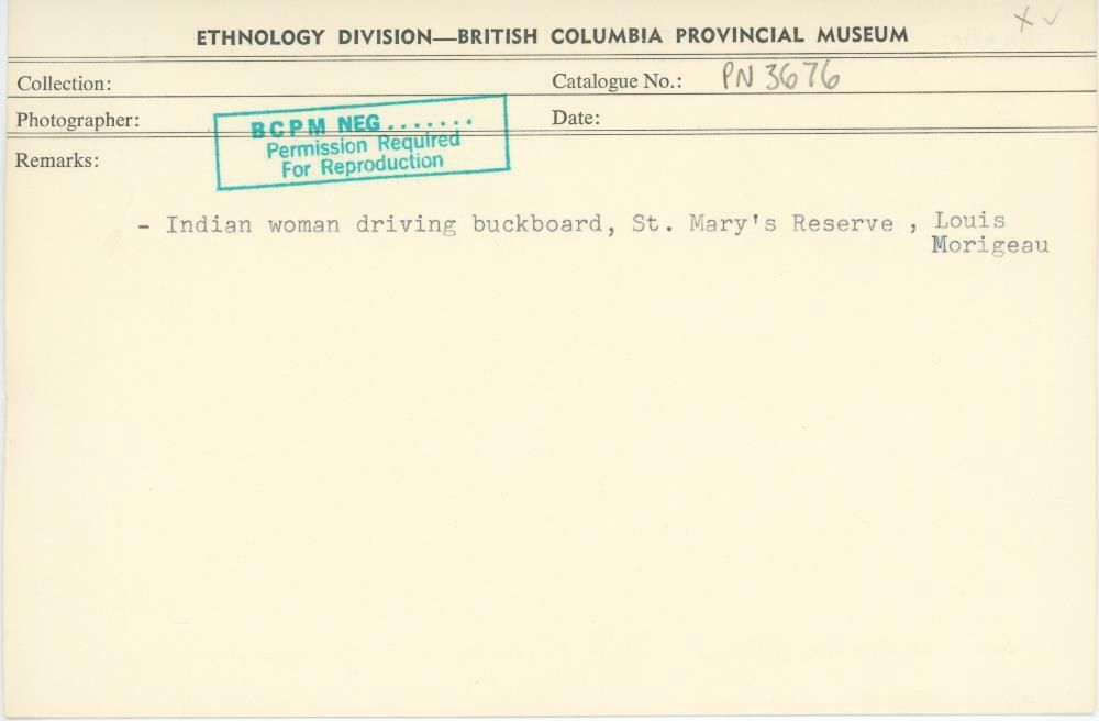 Image representing photograph.