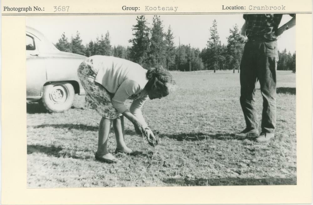 Image representing photograph.