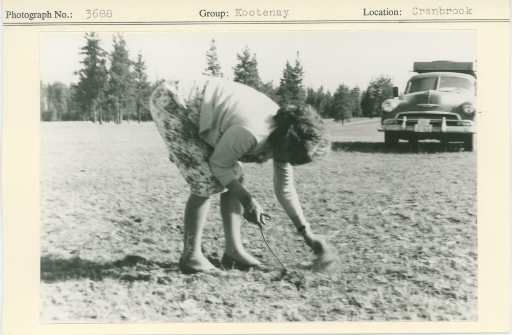 Image representing photograph.