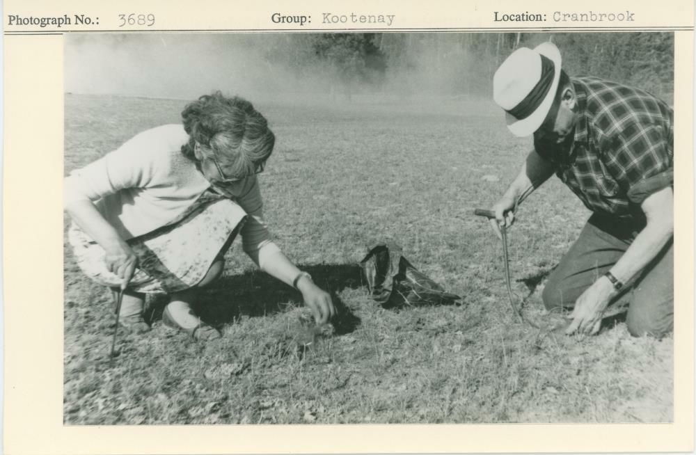 Image representing photograph.