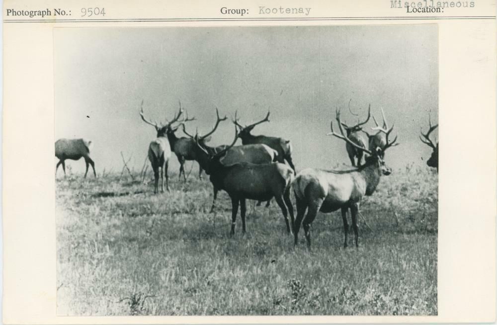 Image representing photograph.