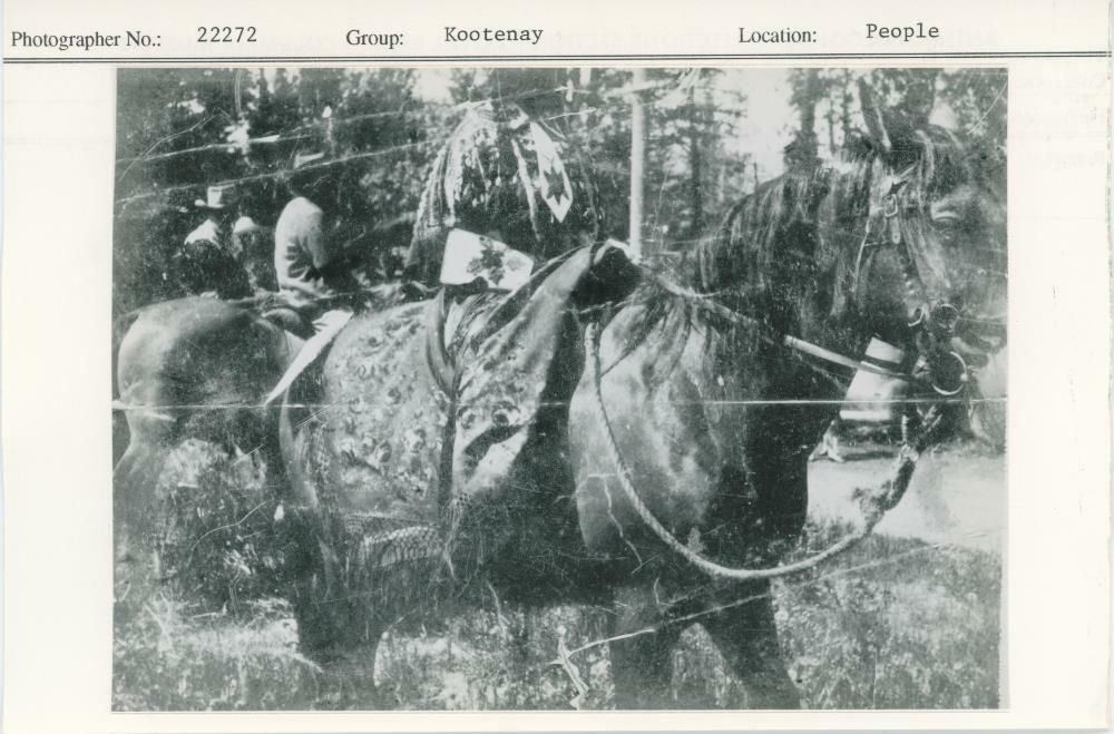 Image representing photograph.