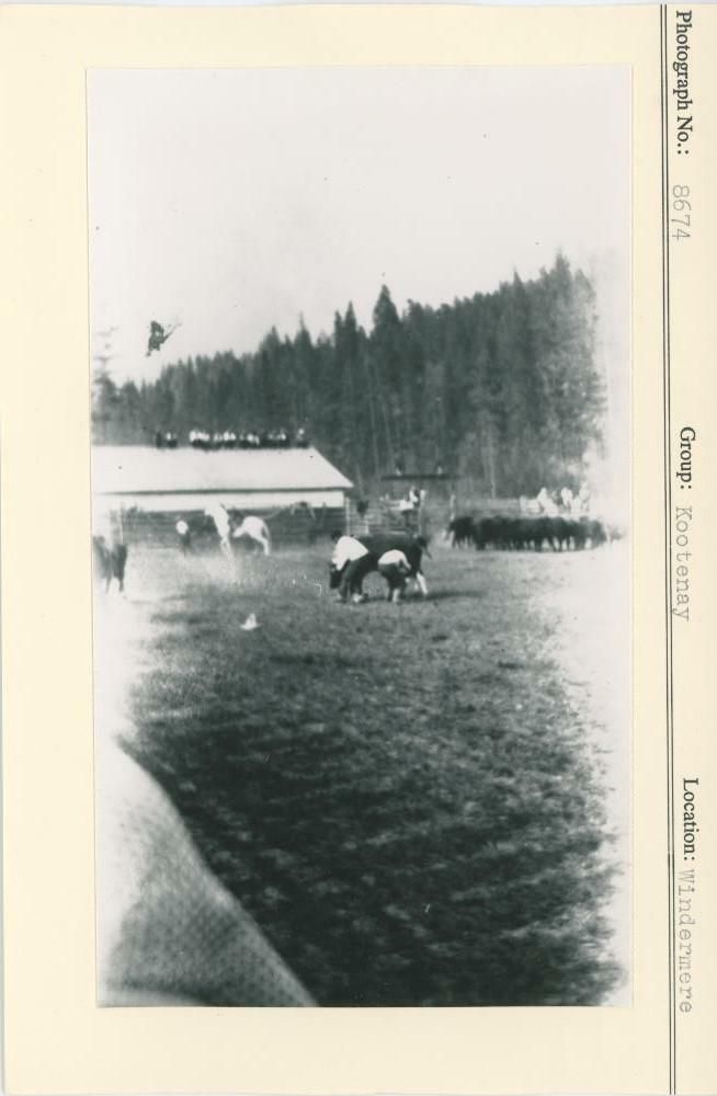 Image representing photograph.