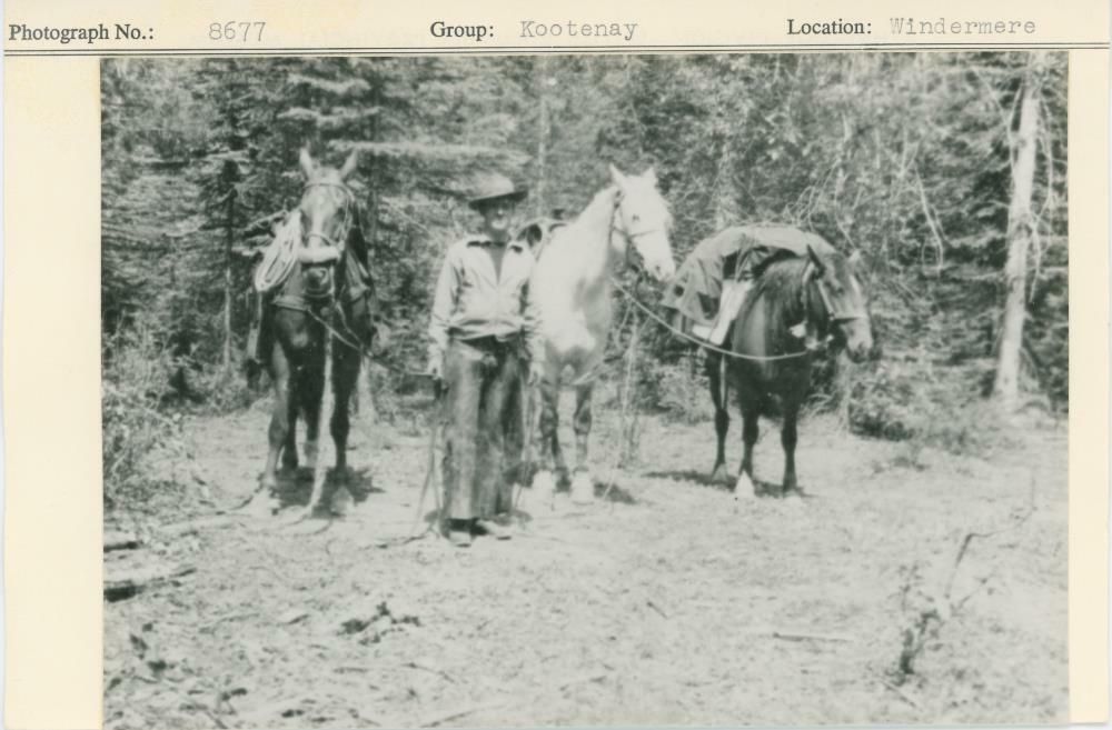 Image representing photograph.