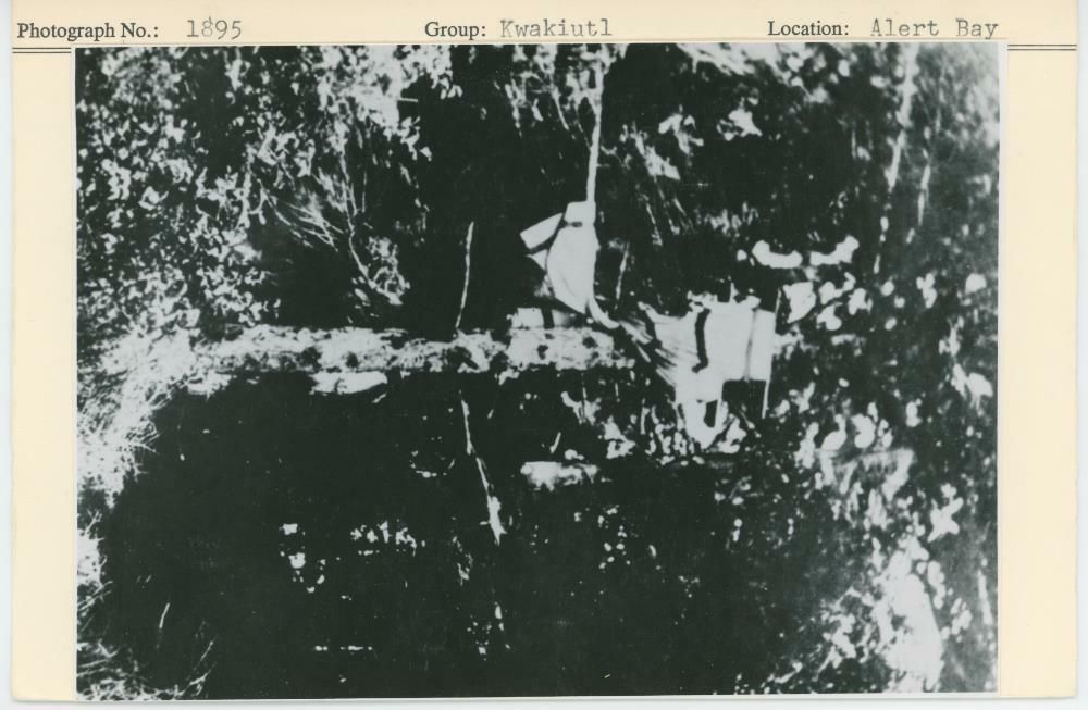 Image representing photograph.