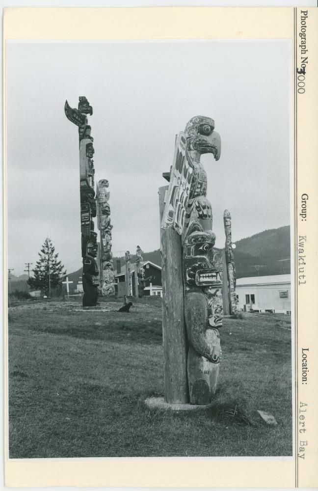 Image representing photograph.