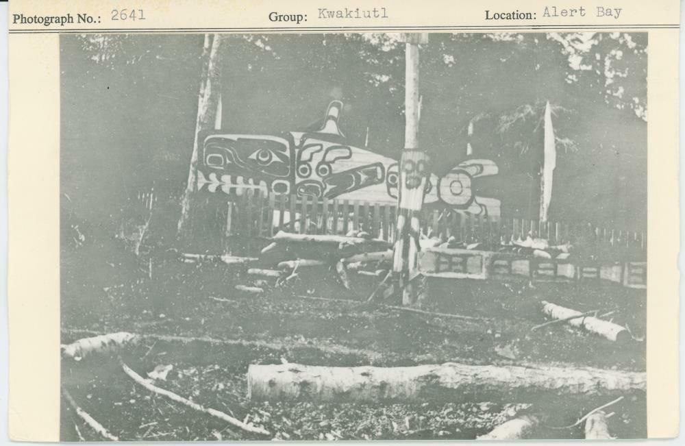 Image representing photograph.