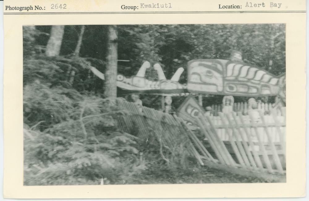 Image representing photograph.