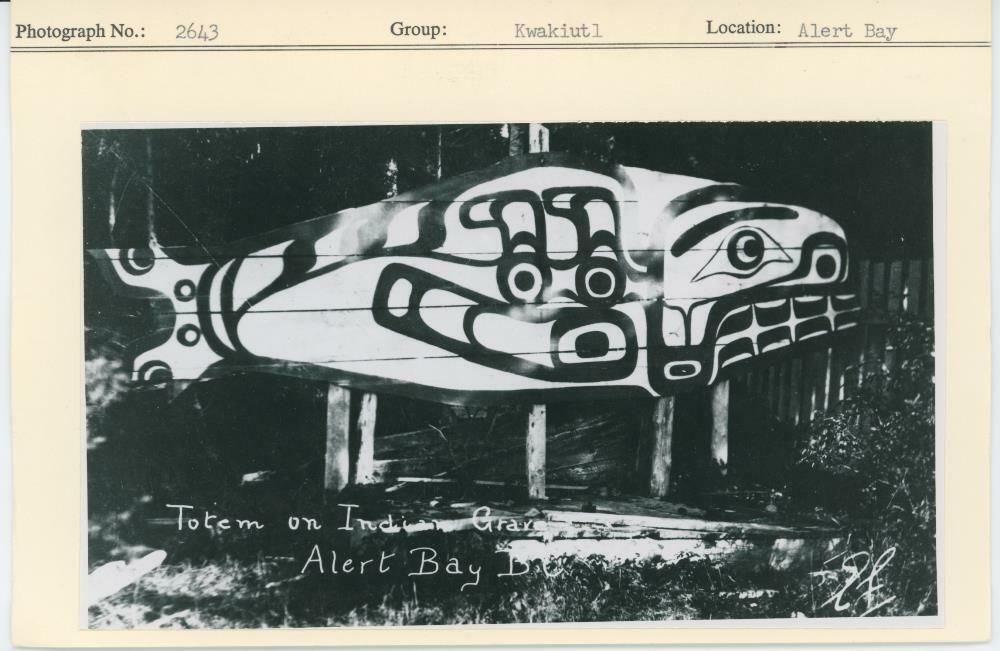 Image representing photograph.