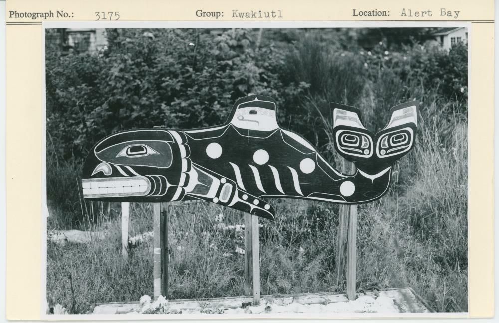 Image representing photograph.