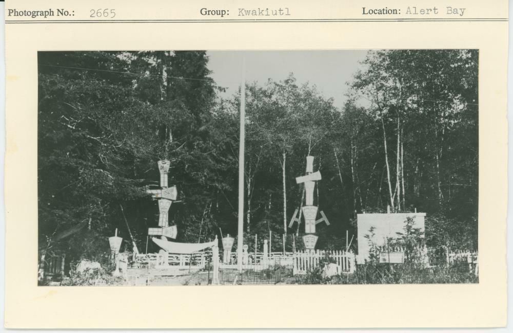 Image representing photograph.