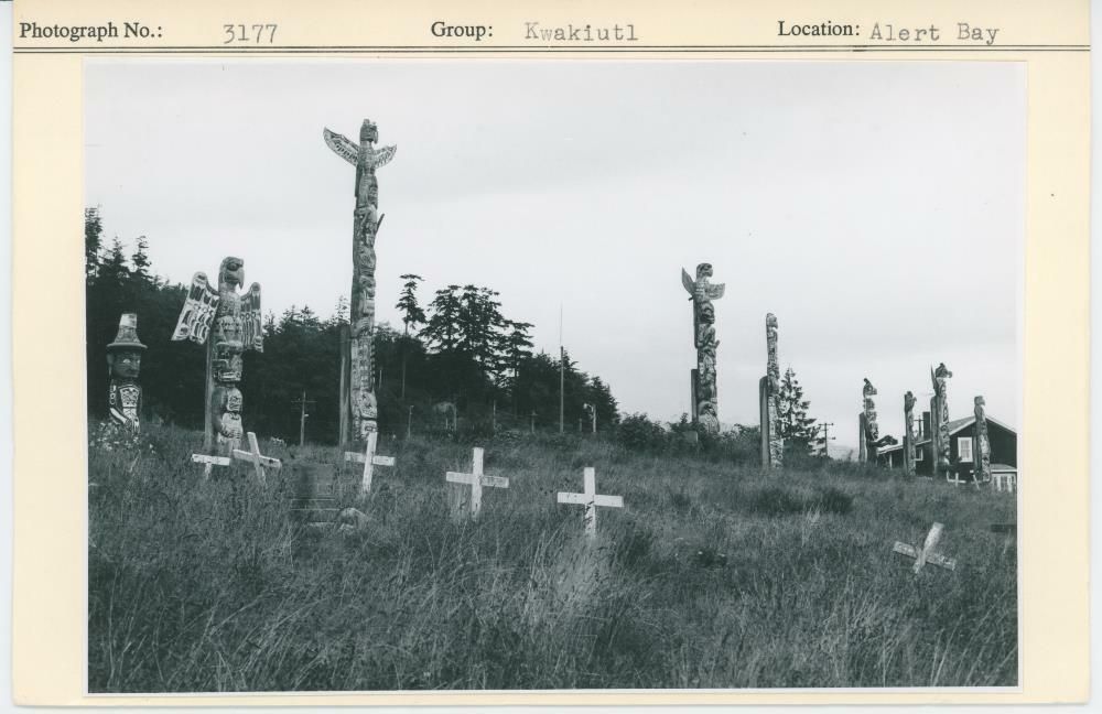 Image representing photograph.