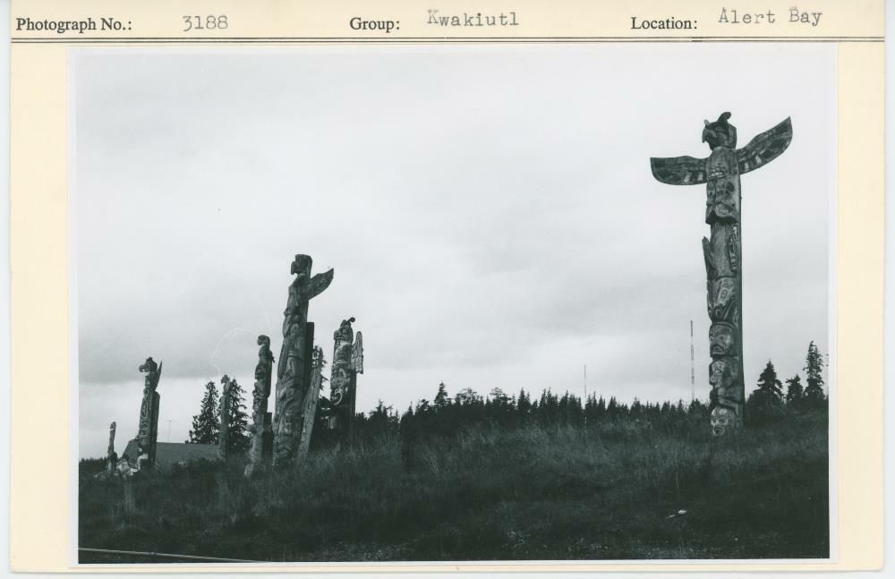 Image representing photograph.