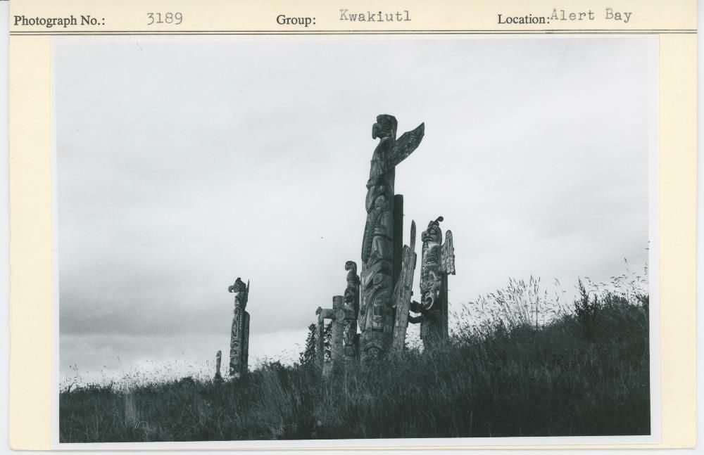 Image representing photograph.