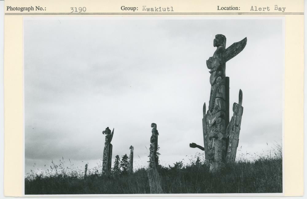 Image representing photograph.