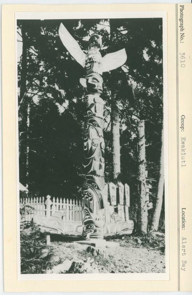 Image representing photograph.