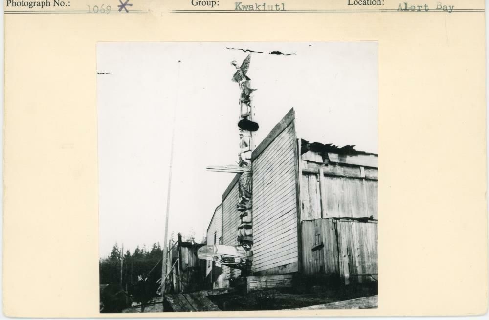 Image representing photograph.