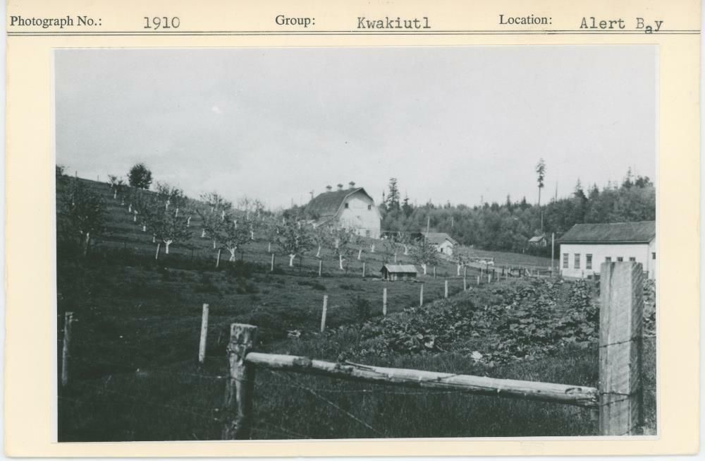 Image representing photograph.