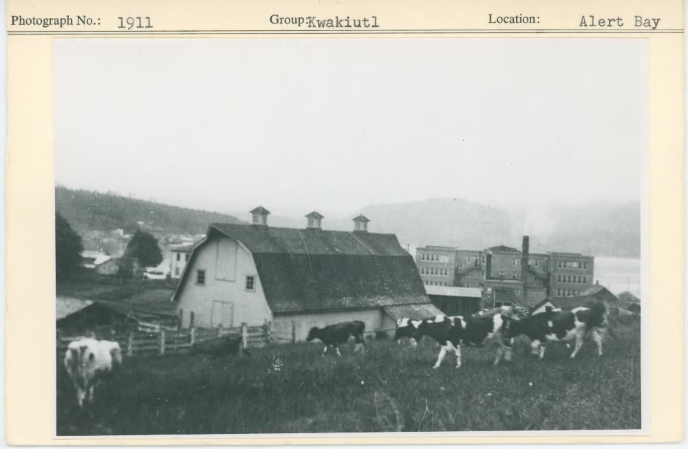 Image representing photograph.