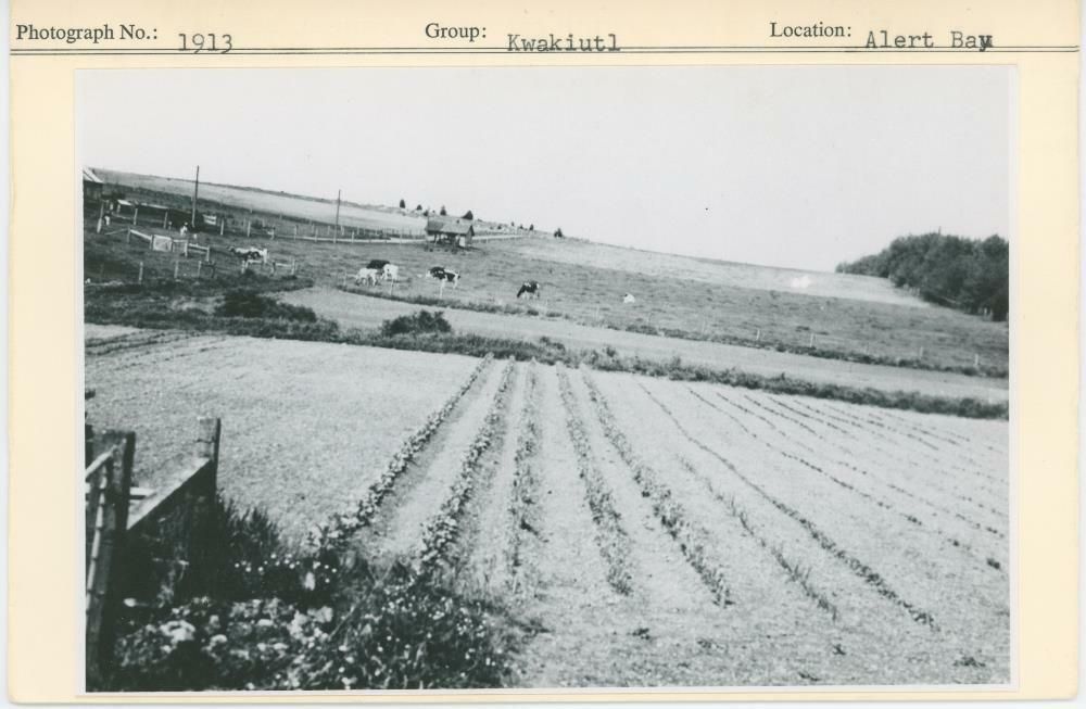 Image representing photograph.