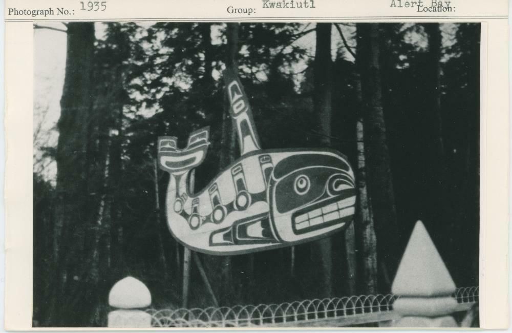 Image representing photograph.