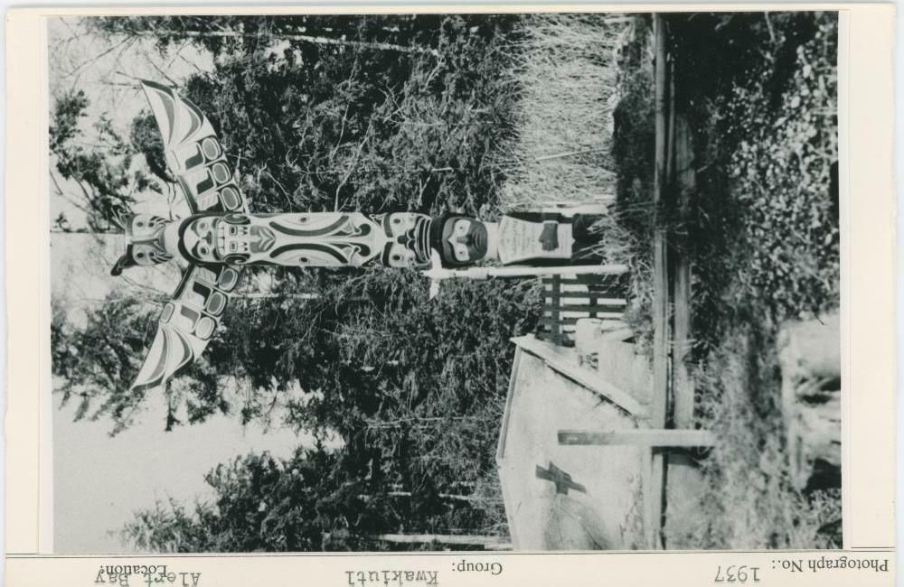 Image representing photograph.