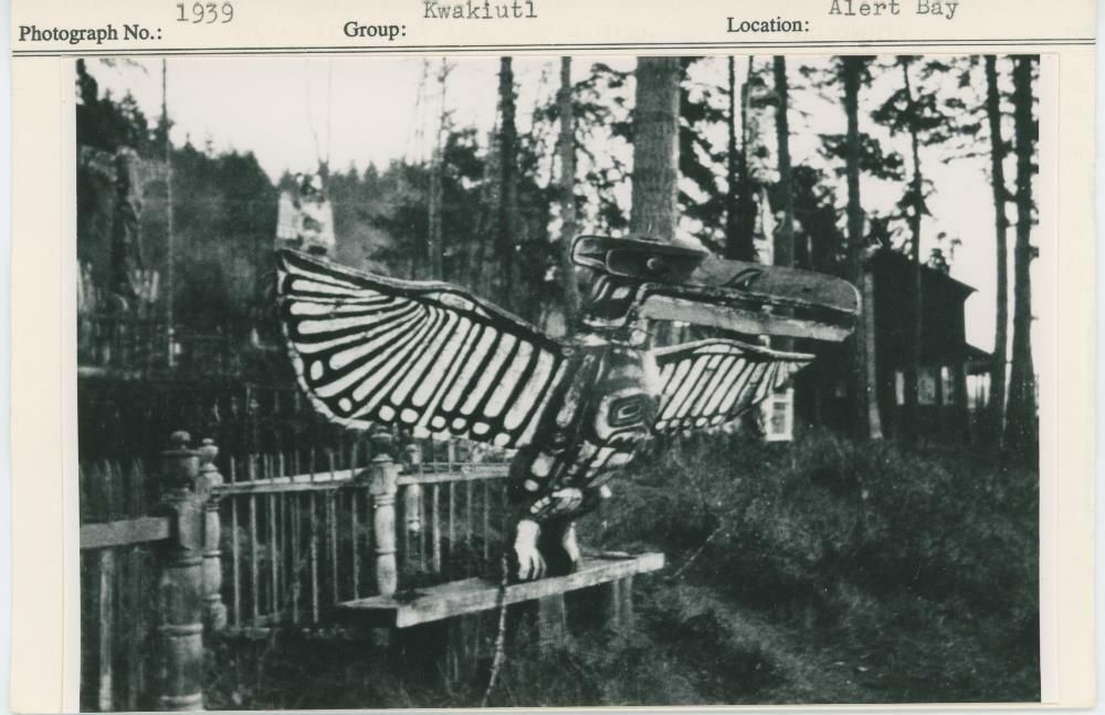 Image representing photograph.