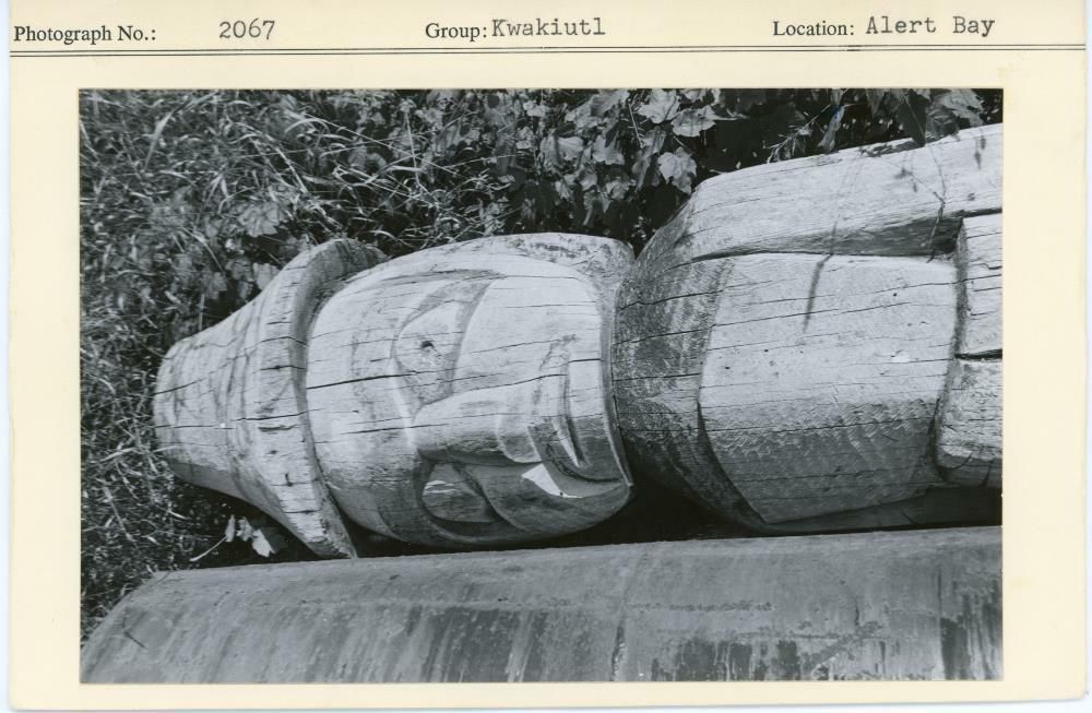 Image representing photograph.