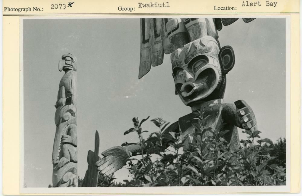 Image representing photograph.