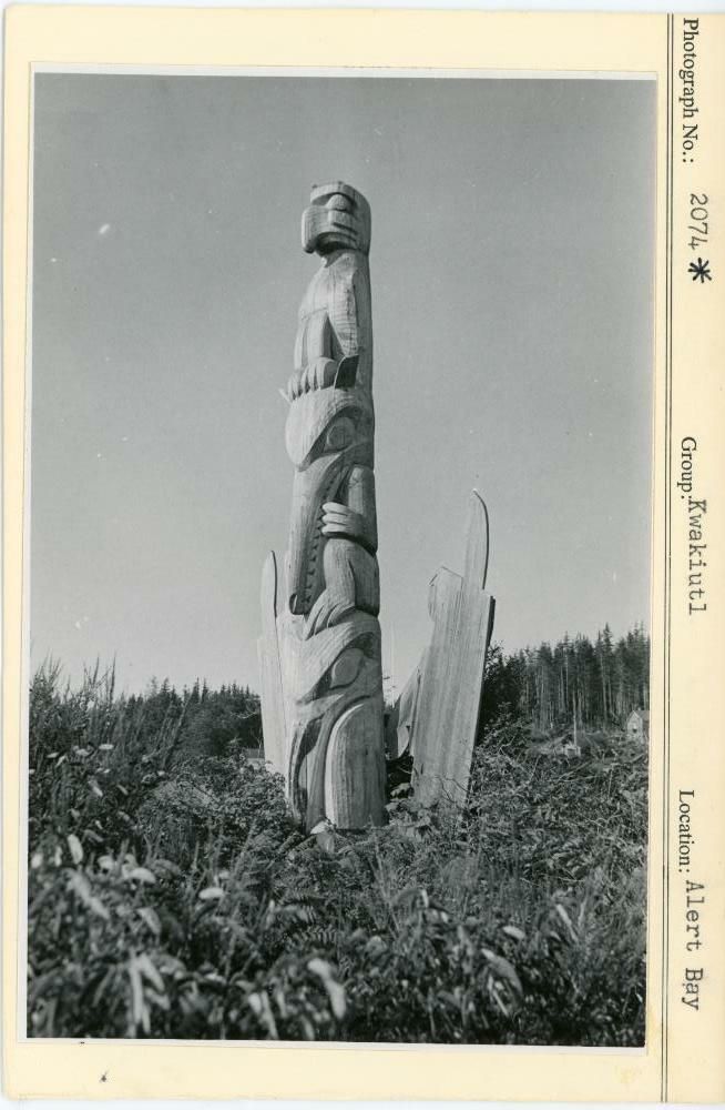 Image representing photograph.