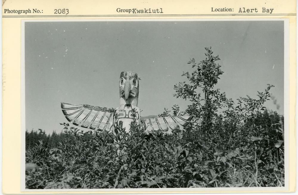 Image representing photograph.