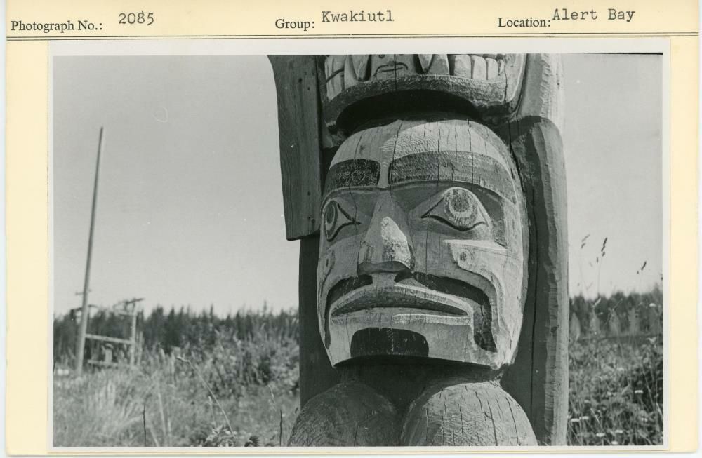 Image representing photograph.