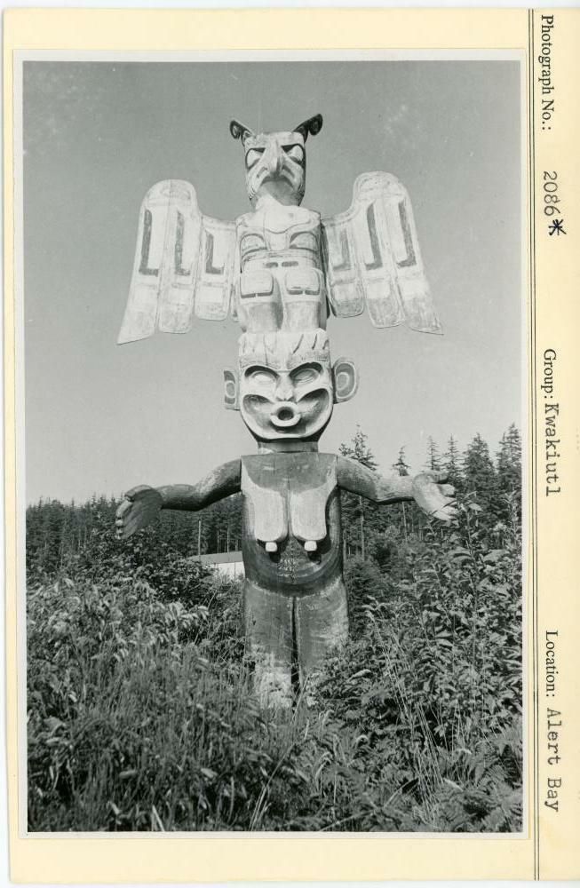 Image representing photograph.