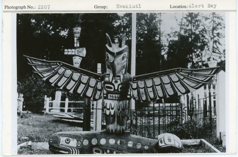 Image representing photograph.